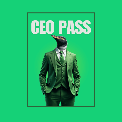 The CEO Pass NFT is a digital token that gives you access to educational resources. It helps you create and manage your own digital projects.